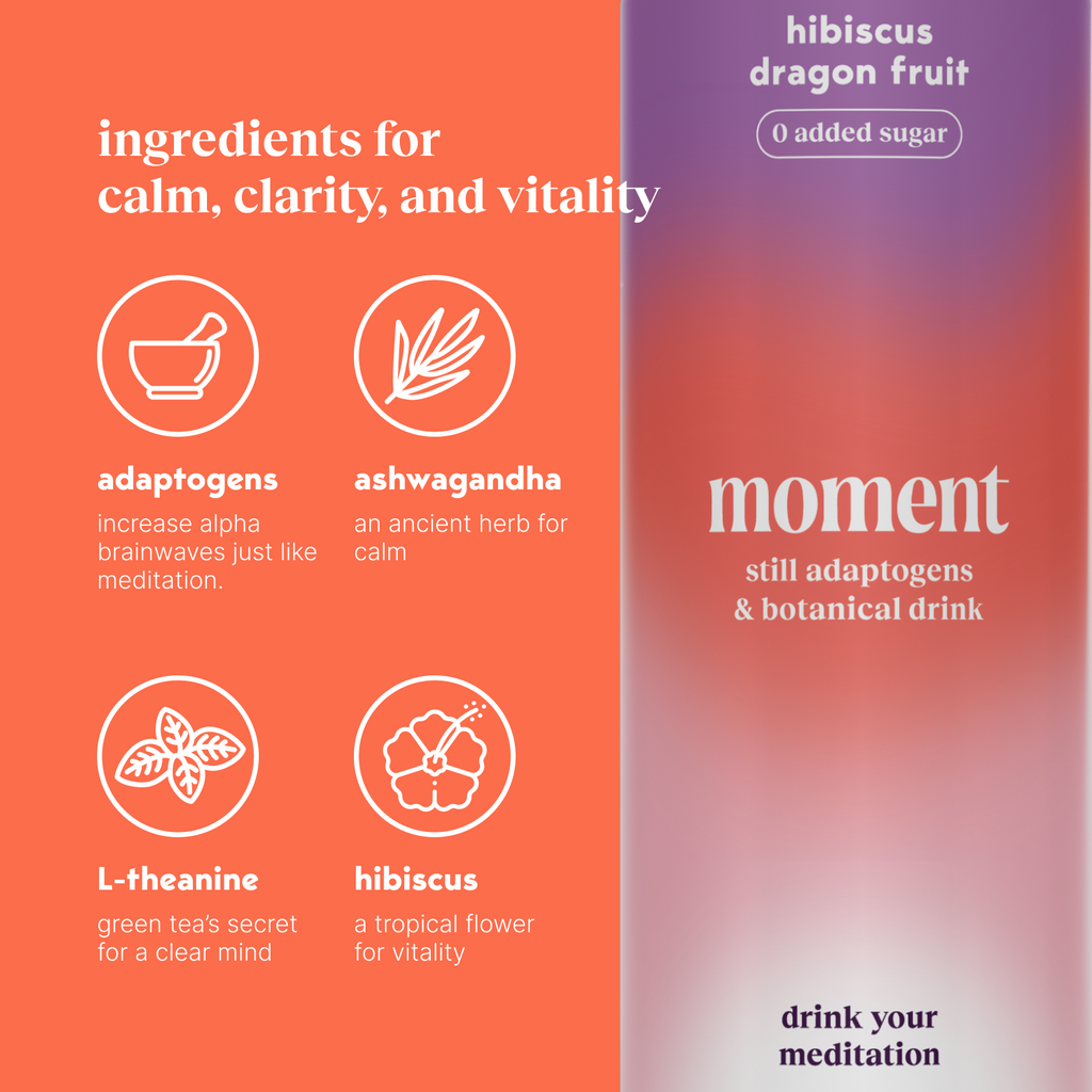 hibiscus dragon fruit (botanical tea | 12 pack)