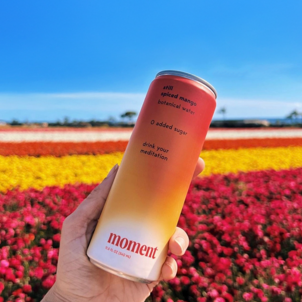 spiced mango (botanical tea | 24 pack)